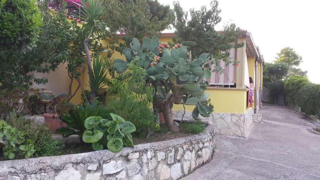 Villa Natura Sea View Vieste Ngoại thất bức ảnh